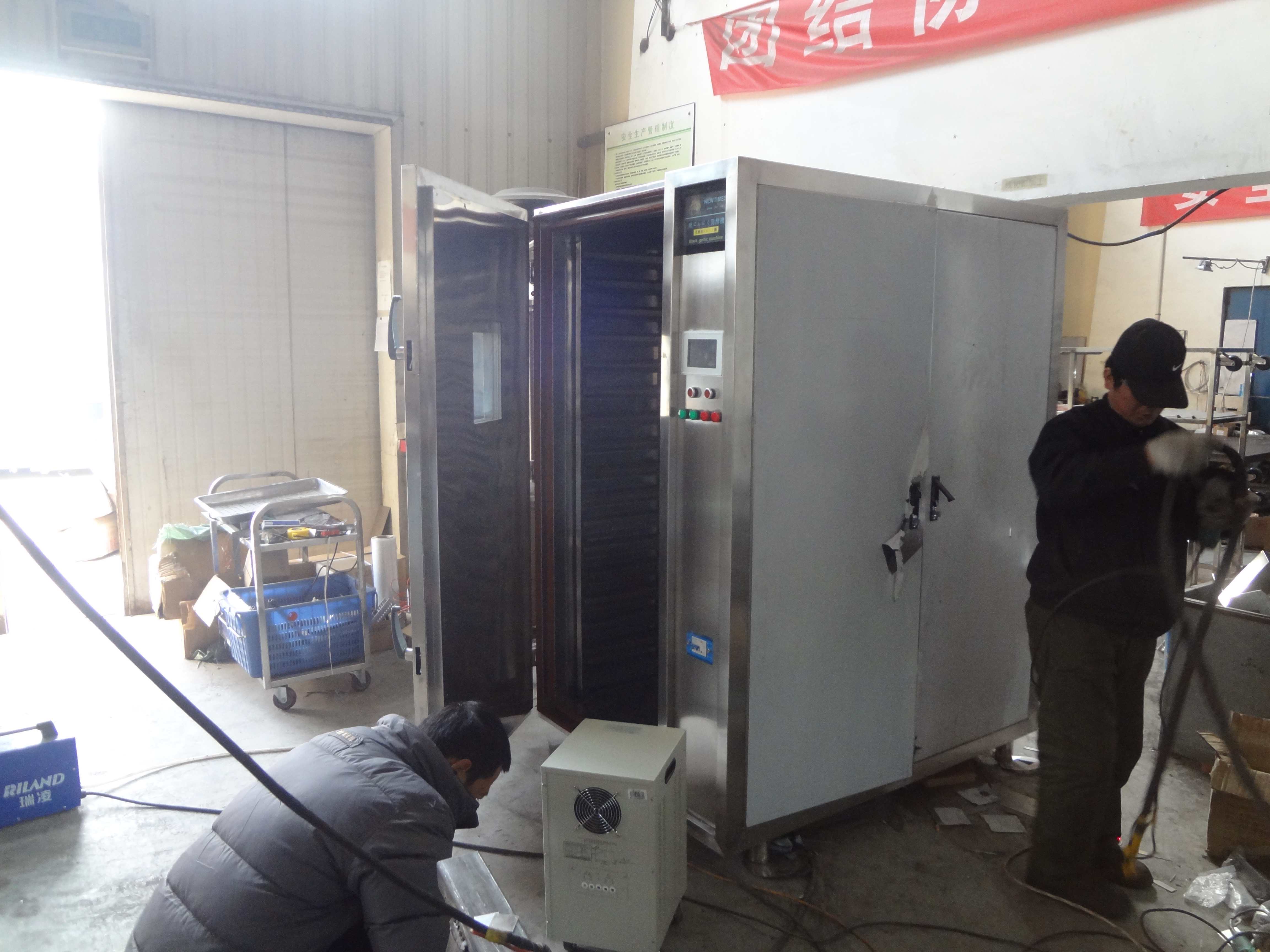 black garlic ferment machine100kgs